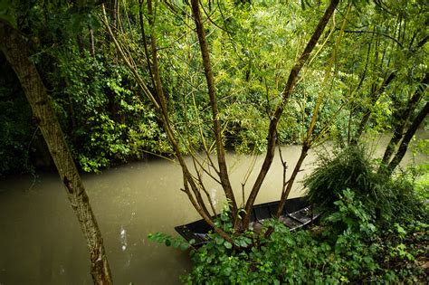 la venecia verde francia|El Marais Poitevin: visite la Venecia Verde